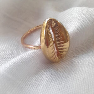 Salacia - Cowrie - ADZ4112